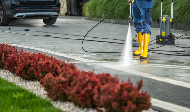 Best Solar Panel Cleaning  in Clearlake, CA